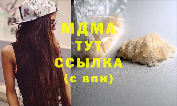 дмт Ельня